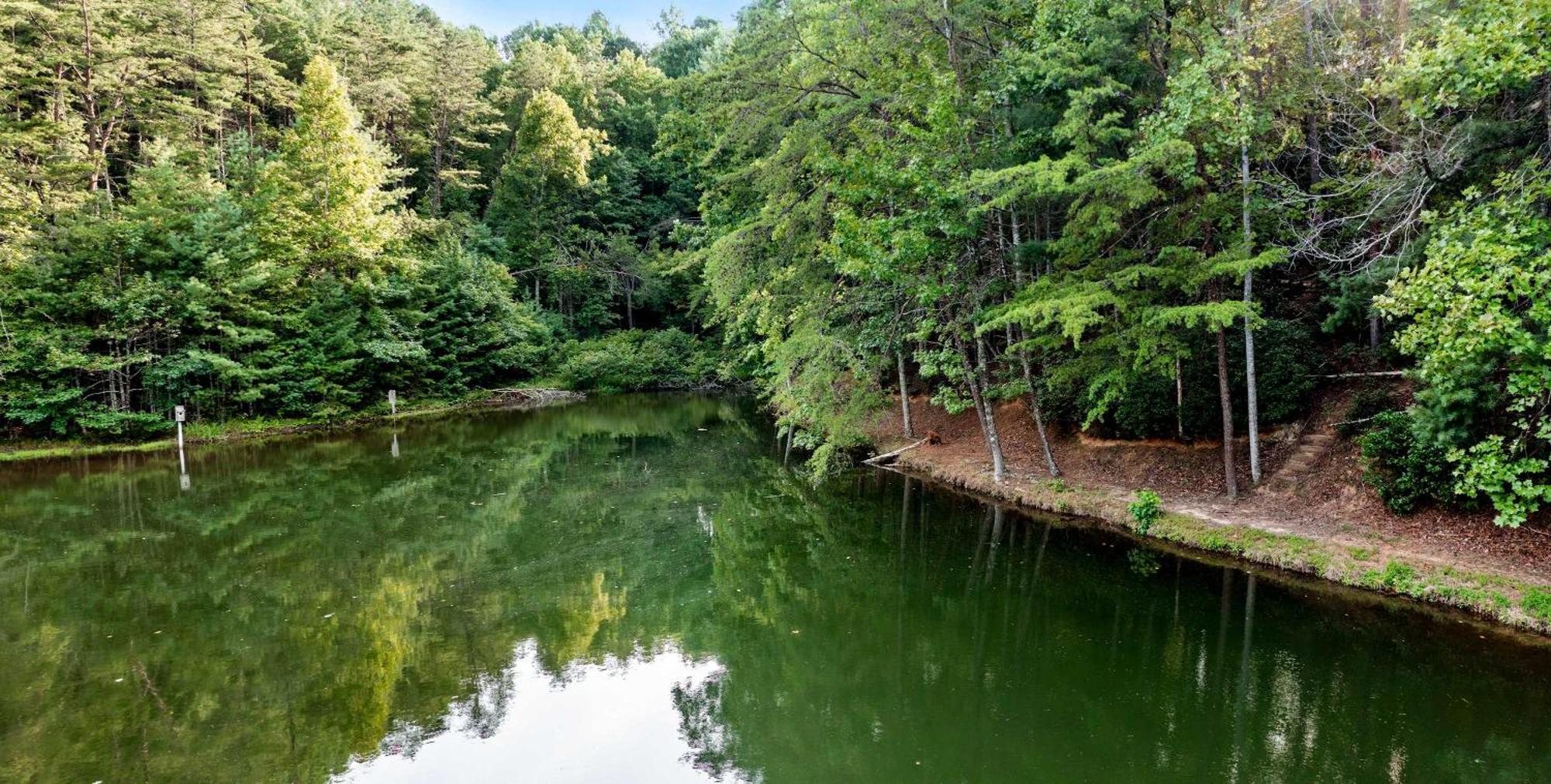 Lakeside Retreat Hot Tub Fishing Hiking Ellijay Esterno foto